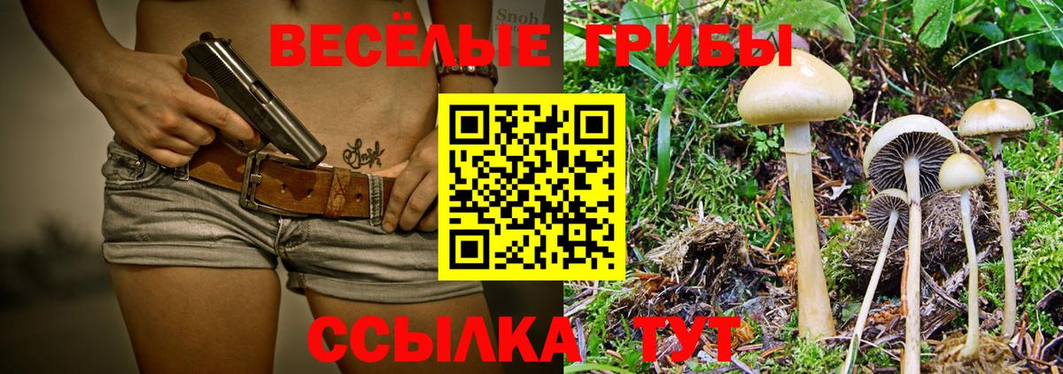 Псилоцибиновые грибы Magic Shrooms Нижний Новгород