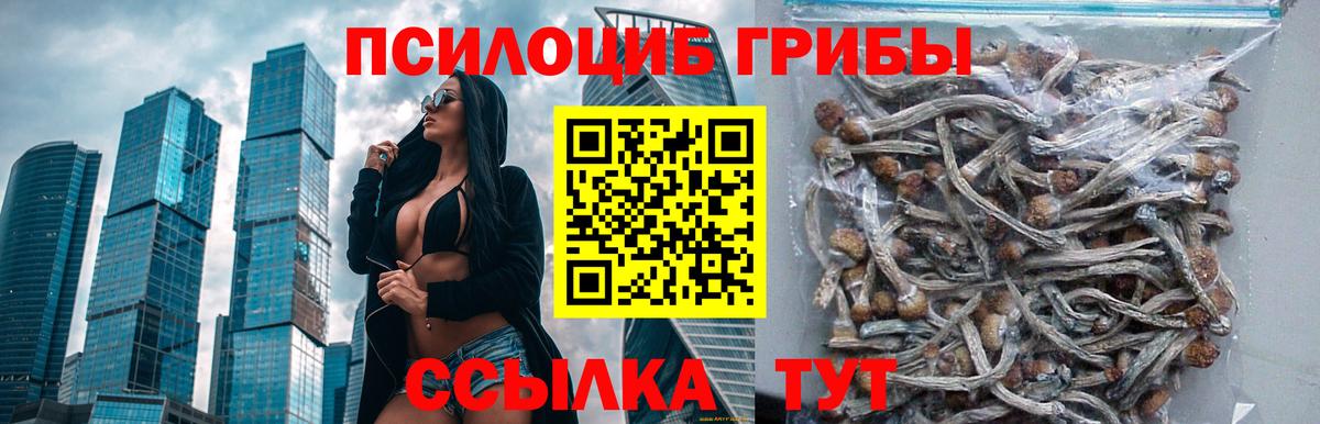 Нижний Новгород  Псилоцибиновые грибы мицелий  где продают наркотики  Псилоцибиновые грибы прущие грибы  Вход с VPN 